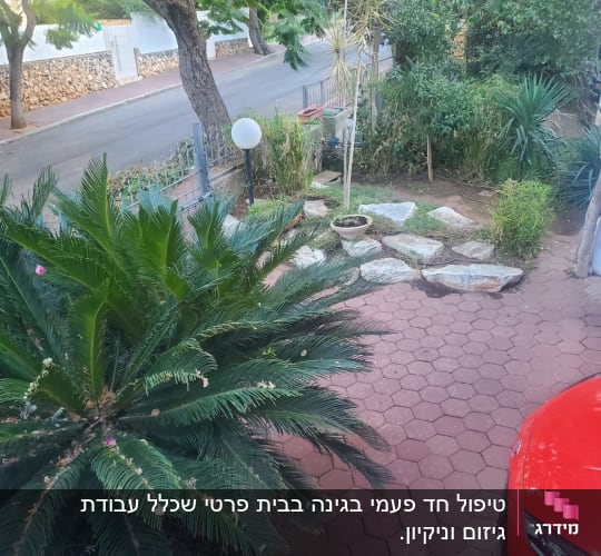 צמחייה ירוקה, עציצים ואבנים בגינה קטנה
